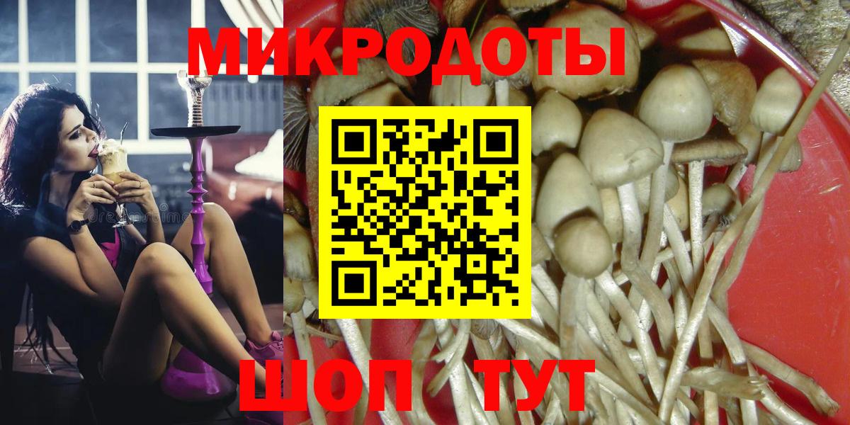 Галлюциногенные грибы мухоморы  Псилоцибиновые грибы Magic Shrooms  Корсаков  где можно купить   Вход с VPN 