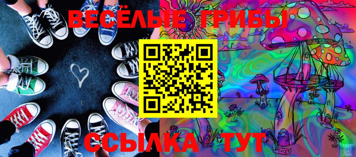 Галлюциногенные грибы GOLDEN TEACHER Корсаков